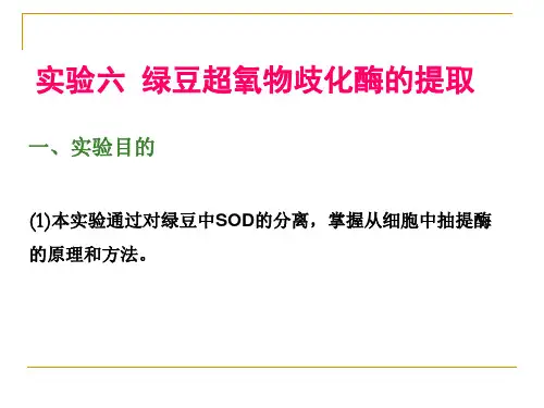 大学课程生物化学实验SOD1课件
