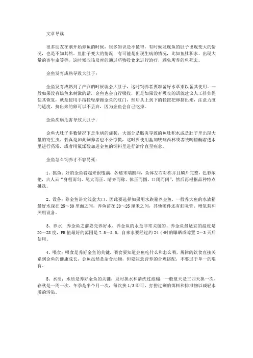 生活养生-鱼肚子大怎么回事