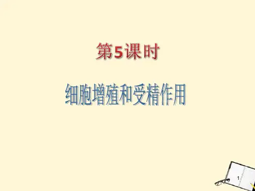 广东省高考生物二轮总复习 第5课时 细胞增殖和受精作用精品课件