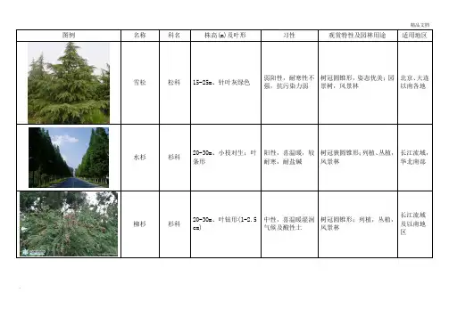 常用绿化植物种类图表