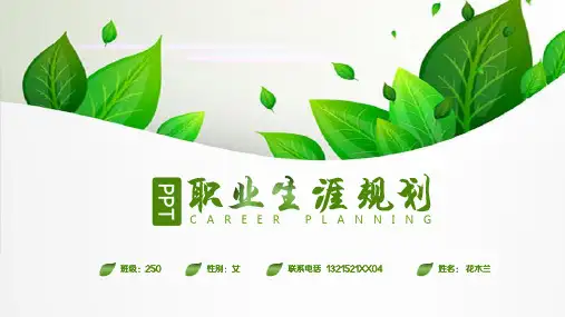职业生涯规划模板(ppt共12张)