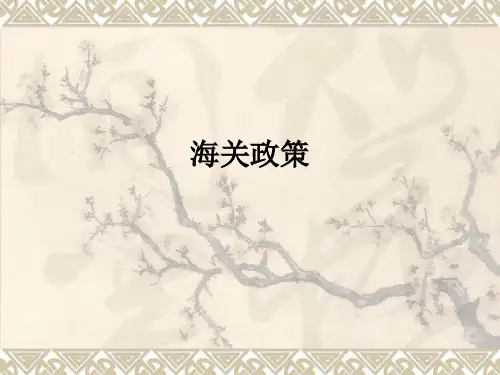 海关政策ppt课件
