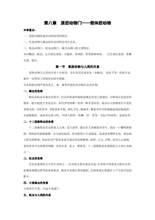 原腔动物门——假体腔动物