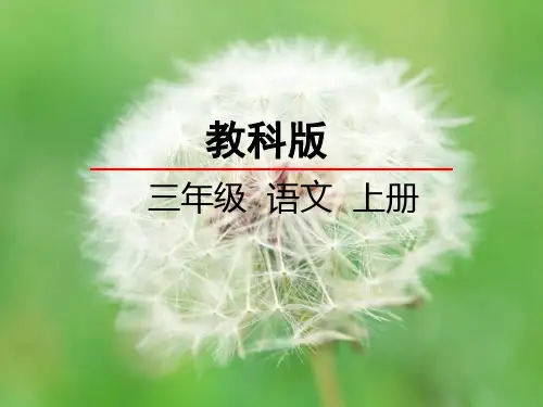 《看不见的爱》ppt课件