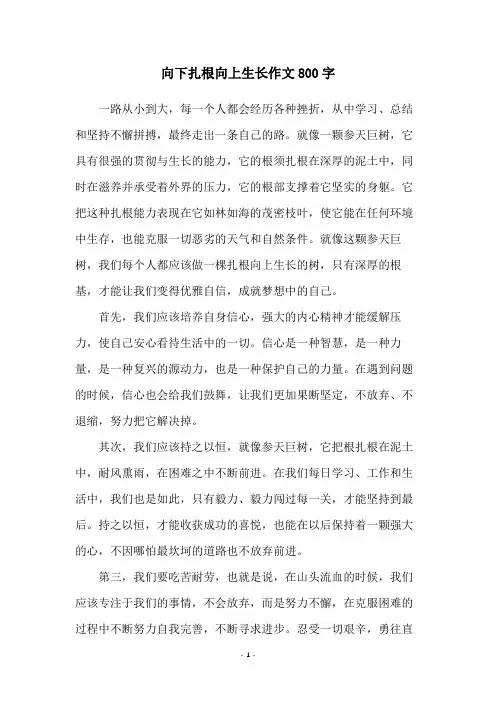 向下扎根向上生长作文800字