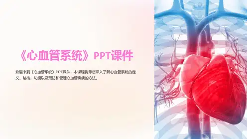 《心血管系统》课件