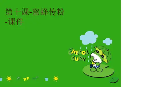 第十课-蜜蜂传粉-课件