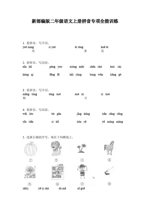 新部编版二年级语文上册拼音专项全能训练