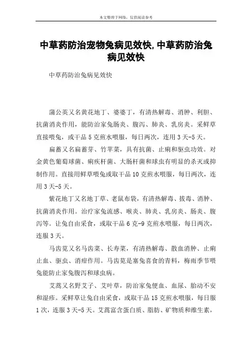 中草药防治宠物兔病见效快,中草药防治兔病见效快