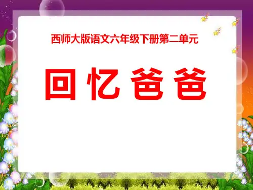 回忆爸爸_精品文档