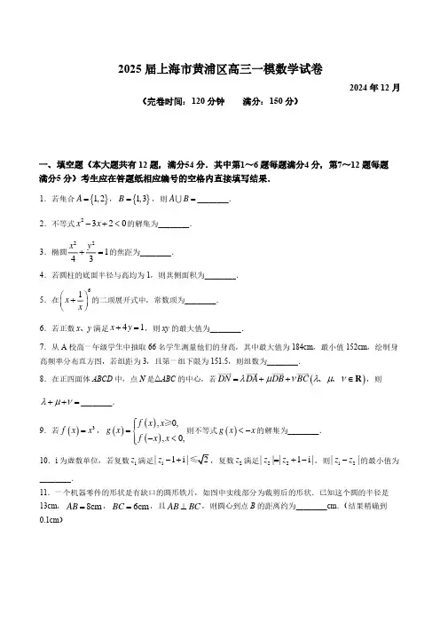 2025届上海市黄浦区高三一模数学试卷(含答案)