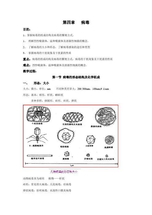 掌握病毒的组成结构及病毒的繁殖方式.