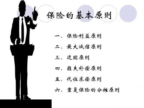 第三章 保险的基本原则