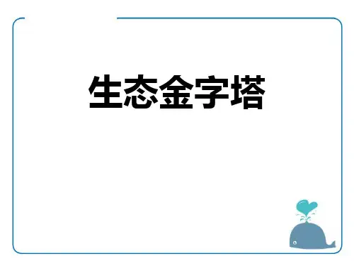 鄂教版六年级语文上册《生态金字塔》PPT课件(3篇)