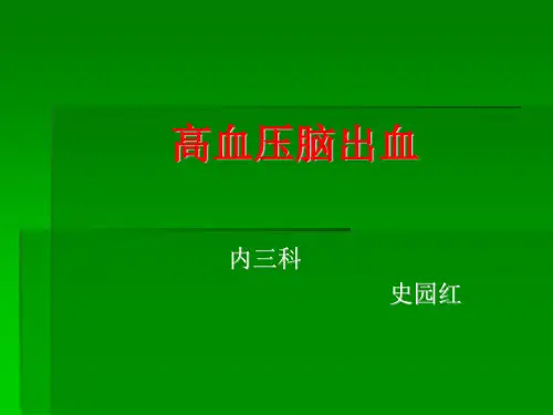 高血压脑出血课件详解PPT