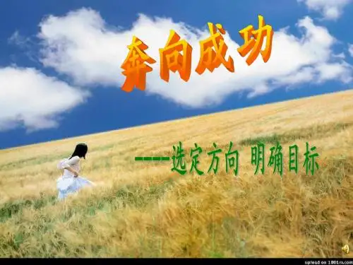 《高二,为理想而奋斗》主题班会
