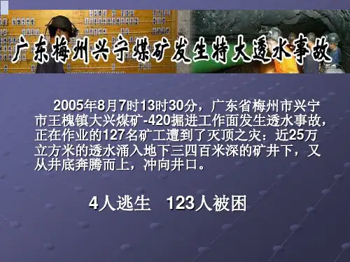 广东兴宁市大兴煤矿特大透水事故