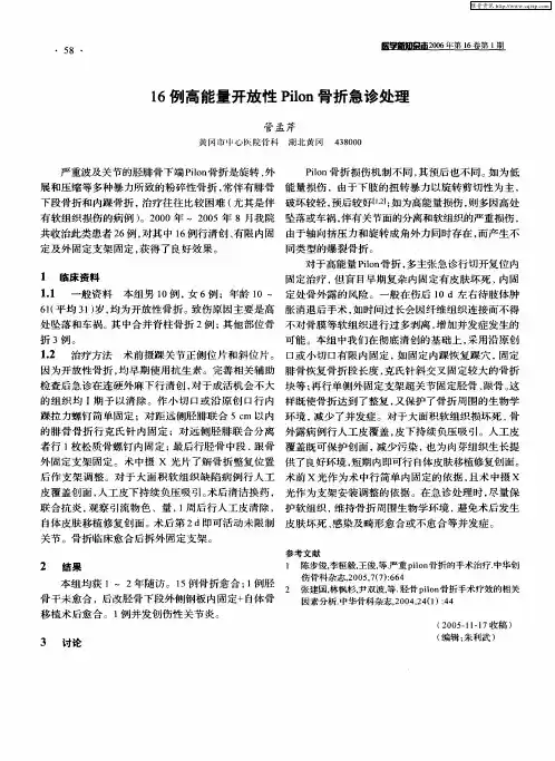 16例高能量开放性Pilon骨折急诊处理