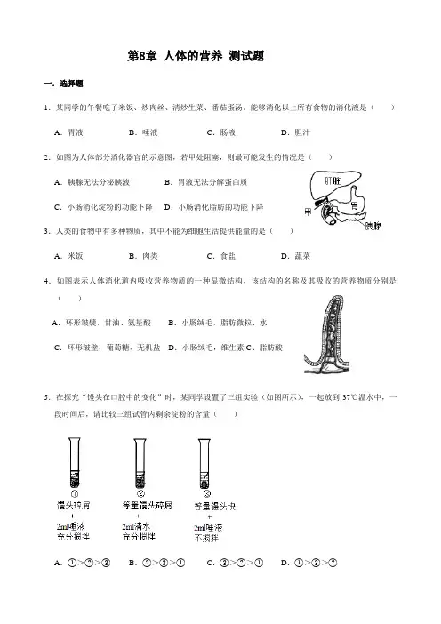 北师大版生物七年级下册 第8章 人体的营养  测试题(含答案)