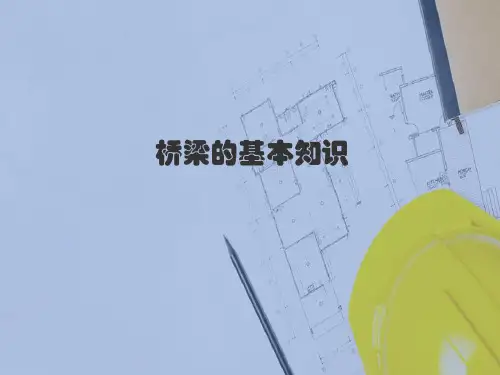 桥梁工程图识读与绘制—桥型布置图识读