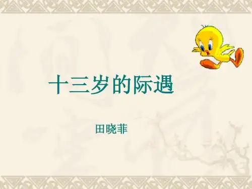 《十三岁的际遇》