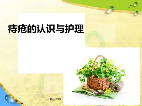 痔疮的日常护理幻灯片PPT