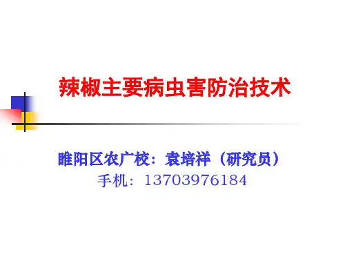 辣椒主要病虫害防治技术(虫害)-辣椒病虫害防治技术方案