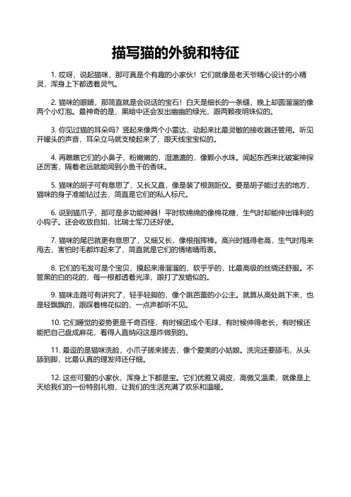 描写猫的外貌和特征