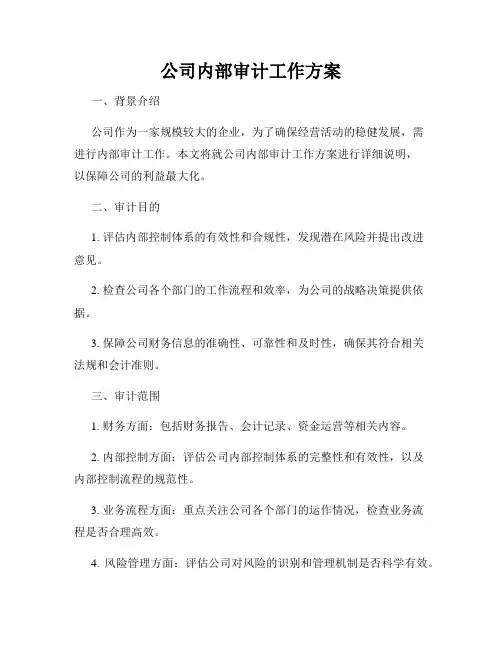 公司内部审计工作方案