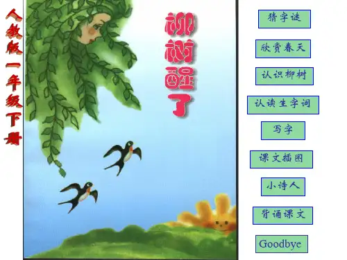柳树醒了-ppt课件1.ppt