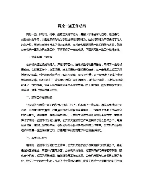 两抢一盗工作总结