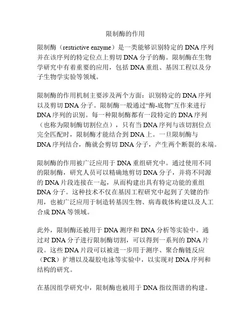 限制酶的作用