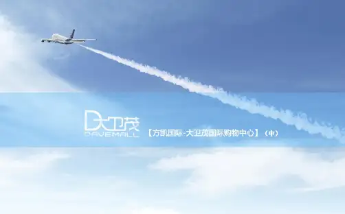 南京商业市场简析森林摩尔大卫茂国际购物中心深度研究分析报告