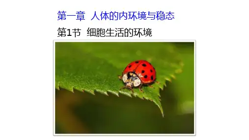 人教版生物必修三第一章第一节-细胞生活的环境