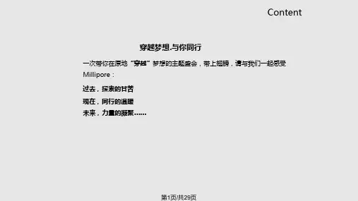 医药企业年会策划案PPT课件