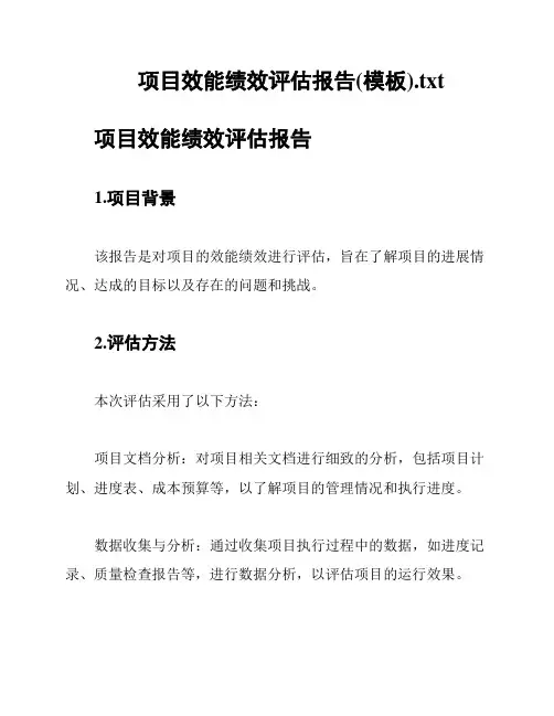 项目效能绩效评估报告(模板)