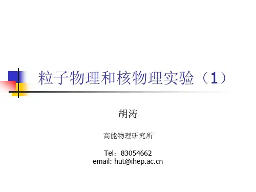 10粒子物理和核物理实验1解析