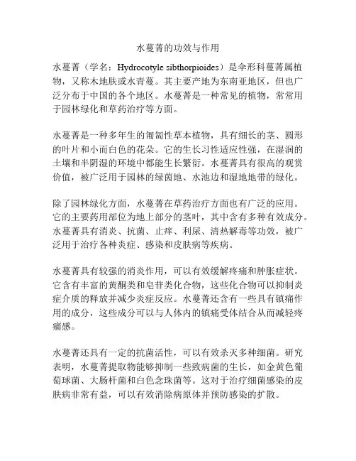 水蔓菁的功效与作用