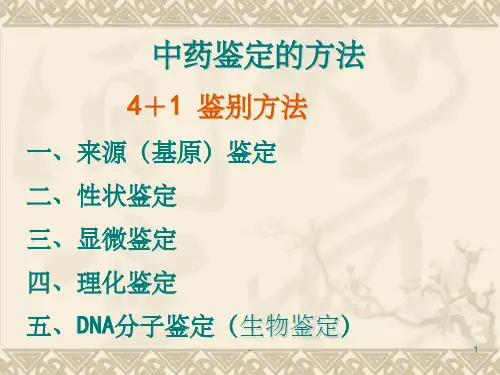 中药的性状鉴定 ppt