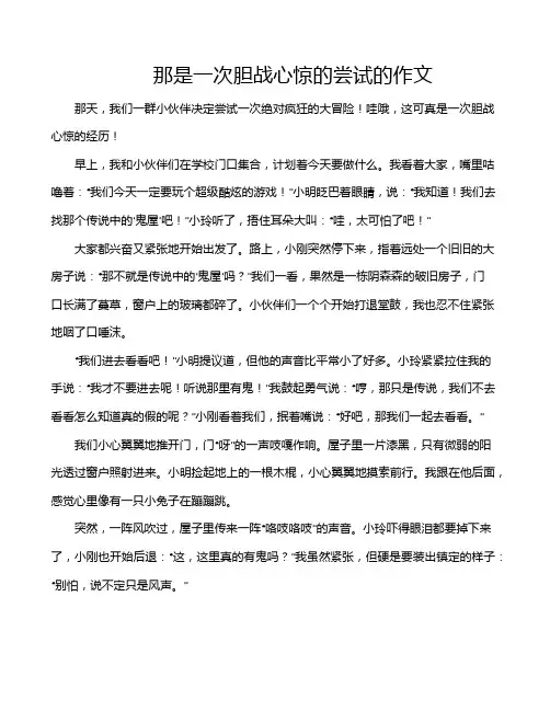 那是一次胆战心惊的尝试的作文