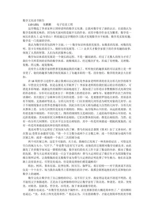 数学文化读书报告