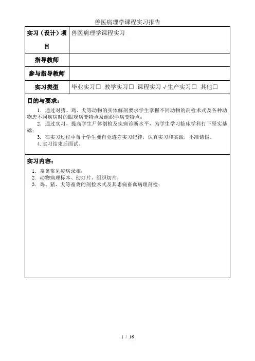 兽医病理学课程实习报告