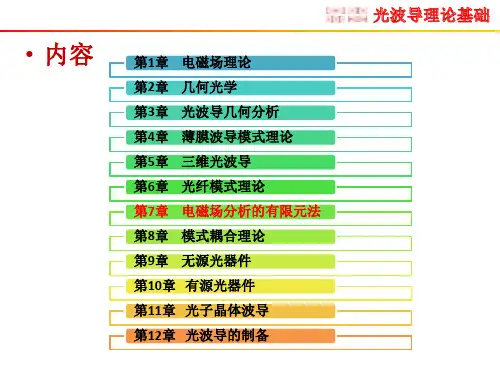 电磁场分析的有限元法
