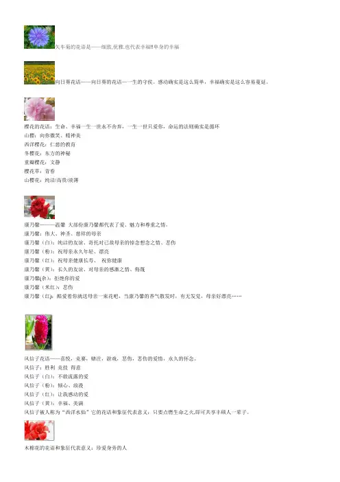 各类花的花语(附图片)