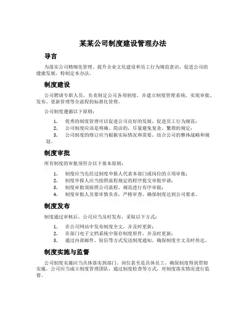 某某公司制度建设管理办法