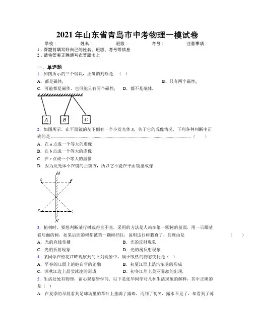2021年山东省青岛市中考物理一模试卷及解析