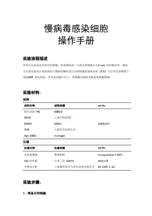 慢病毒感染细胞 操作手册