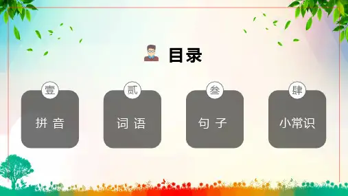 小学语文小升初重要知识点汇总内容PPT演示