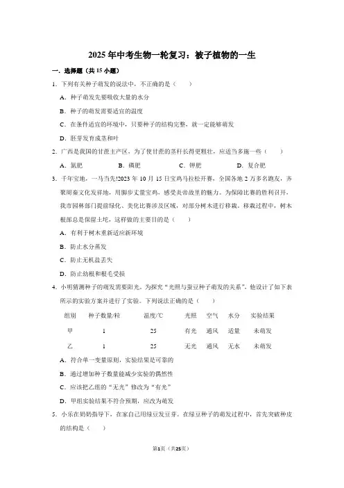 2025年中考生物一轮复习：被子植物的一生 (附答案解析)