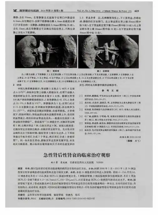 急性肾后性肾衰的临床治疗观察